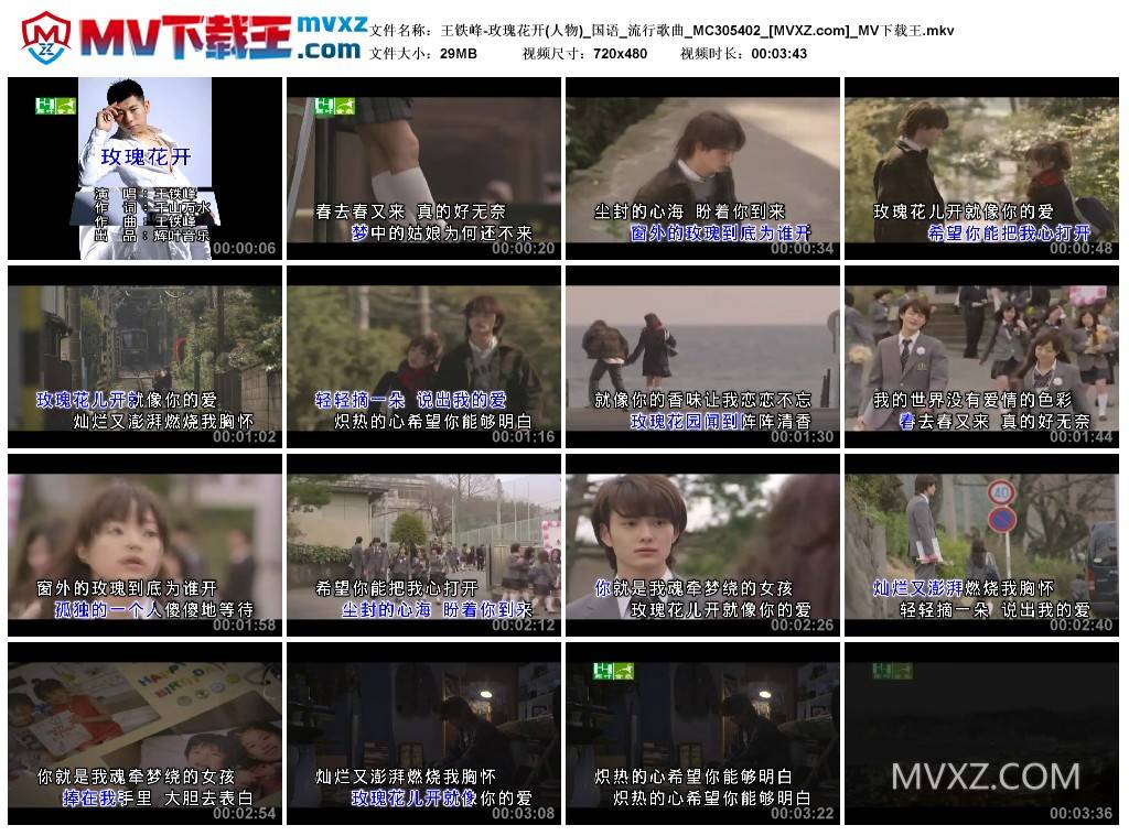 王铁峰-玫瑰花开(人物)_国语_流行歌曲_MC305402